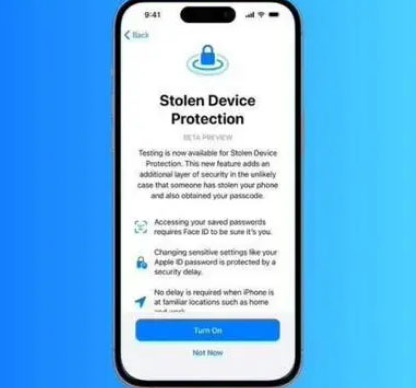 椰林镇苹果授权维修店分享被盗设备保护功能开启方法 