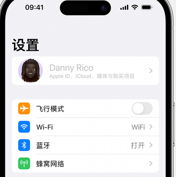 椰林镇appleID维修服务iPhone设置中Apple ID显示为灰色无法使用 