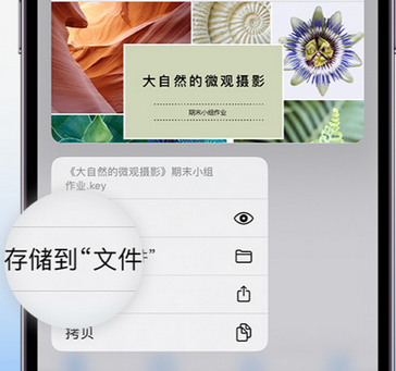 椰林镇apple维修中心分享iPhone文件应用中存储和找到下载文件