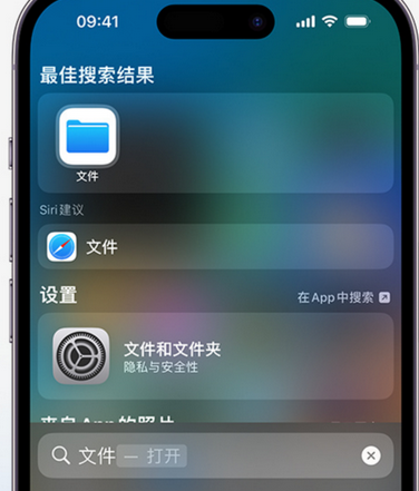 椰林镇apple维修中心分享iPhone文件应用中存储和找到下载文件