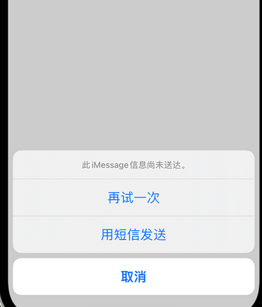 椰林镇apple维修iPhone上无法正常发送iMessage信息