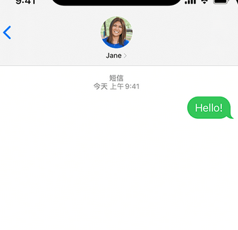 椰林镇apple维修iPhone上无法正常发送iMessage信息