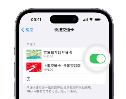 椰林镇apple维修点分享iPhone上更换Apple Pay快捷交通卡手绘卡面 