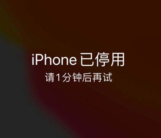 椰林镇苹果手机维修分享:iPhone 显示“不可用”或“已停用”怎么办？还能保留数据吗？ 