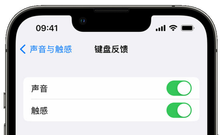 椰林镇苹果手机维修分享iPhone 14触感键盘使用方法 