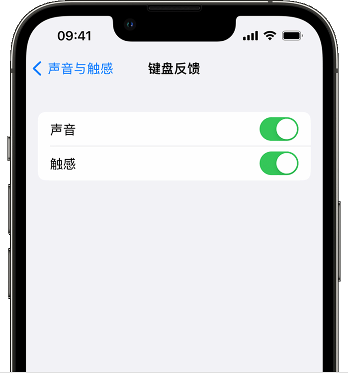 椰林镇苹果14维修店分享如何在 iPhone 14 机型中使用触感键盘 