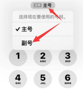 椰林镇苹果14维修店分享iPhone 14 Pro Max使用副卡打电话的方法 