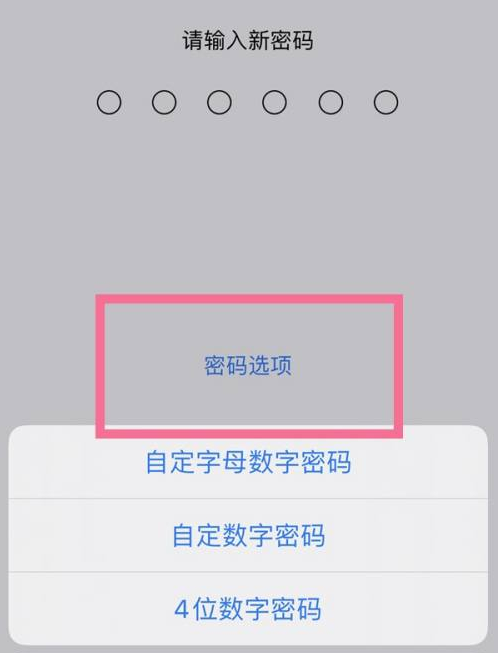 椰林镇苹果14维修分享iPhone 14plus设置密码的方法 