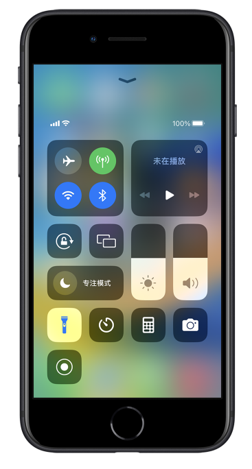 椰林镇苹果14维修分享苹果iPhone 14 Pro手电筒开启方法 