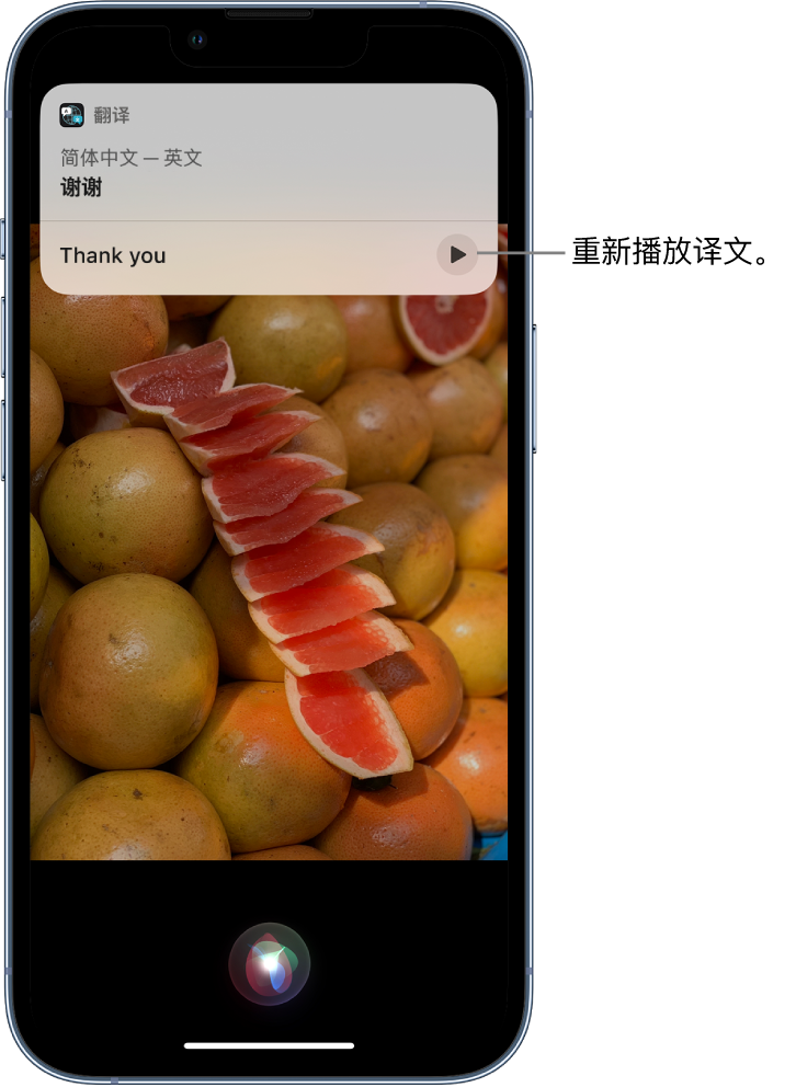 椰林镇苹果14维修分享 iPhone 14 机型中使用 Siri：了解 Siri 能帮你做什么 