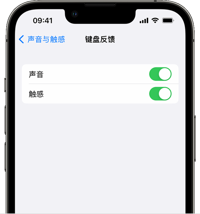 椰林镇苹果14维修分享iPhone 14 系列机型如何开启键盘声音或触感反馈 