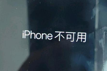 椰林镇苹果服务网点分享锁屏界面显示“iPhone 不可用”如何解决 