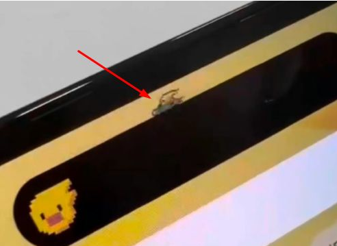 椰林镇苹果14维修分享iPhone 14 Pro Max灵动岛怎么养宠物 