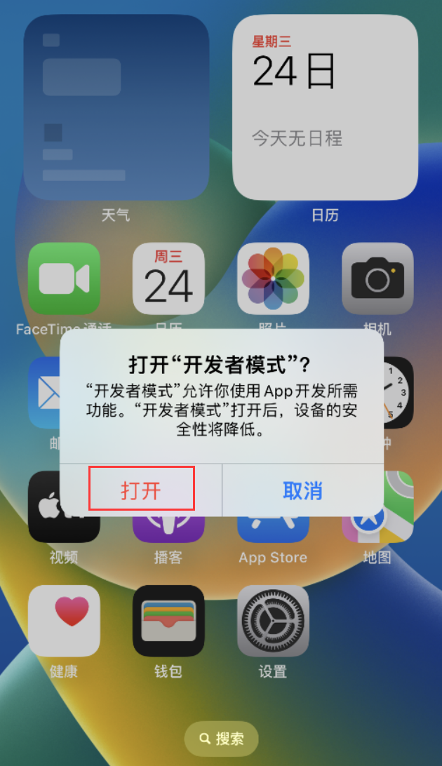 椰林镇苹果手机维修分享如何打开开发者模式 