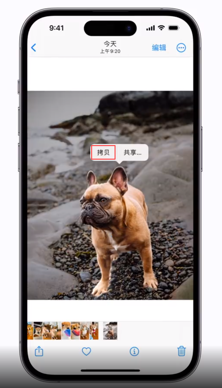 椰林镇 苹果手机维修分享iOS 16 “照片”应用更新内容与改进汇总 