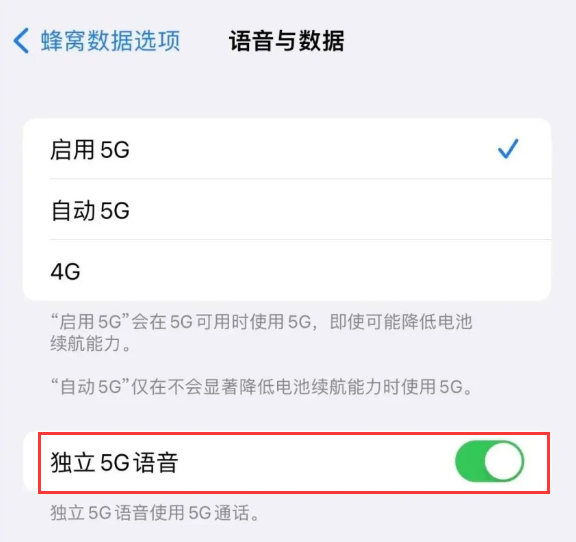 椰林镇苹果14维修分享iPhone 14 Pro如何开启VoNR 