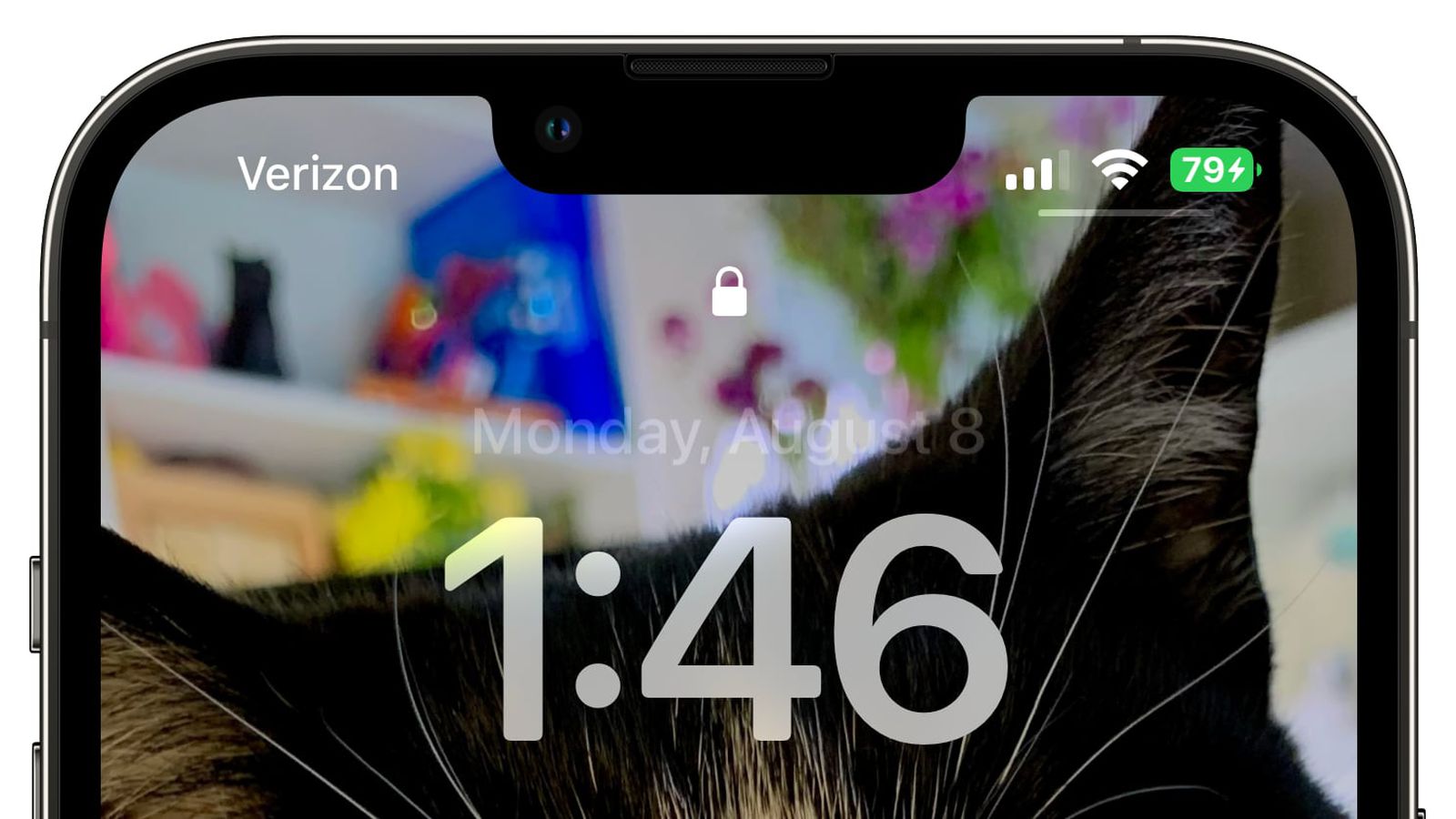 椰林镇苹果手机维修分享iOS 16 beta 5 支持状态栏显示电池百分比，如何开启？支持哪些机型 