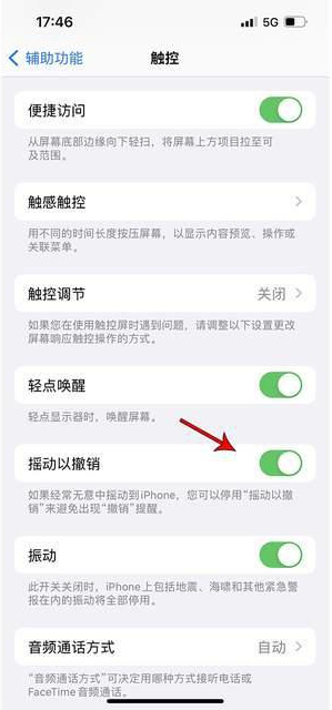 椰林镇苹果手机维修分享iPhone手机如何设置摇一摇删除文字 