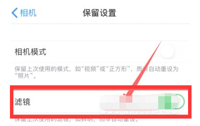 椰林镇苹果13维修分享iPhone13拍照有绿点是怎么回事 