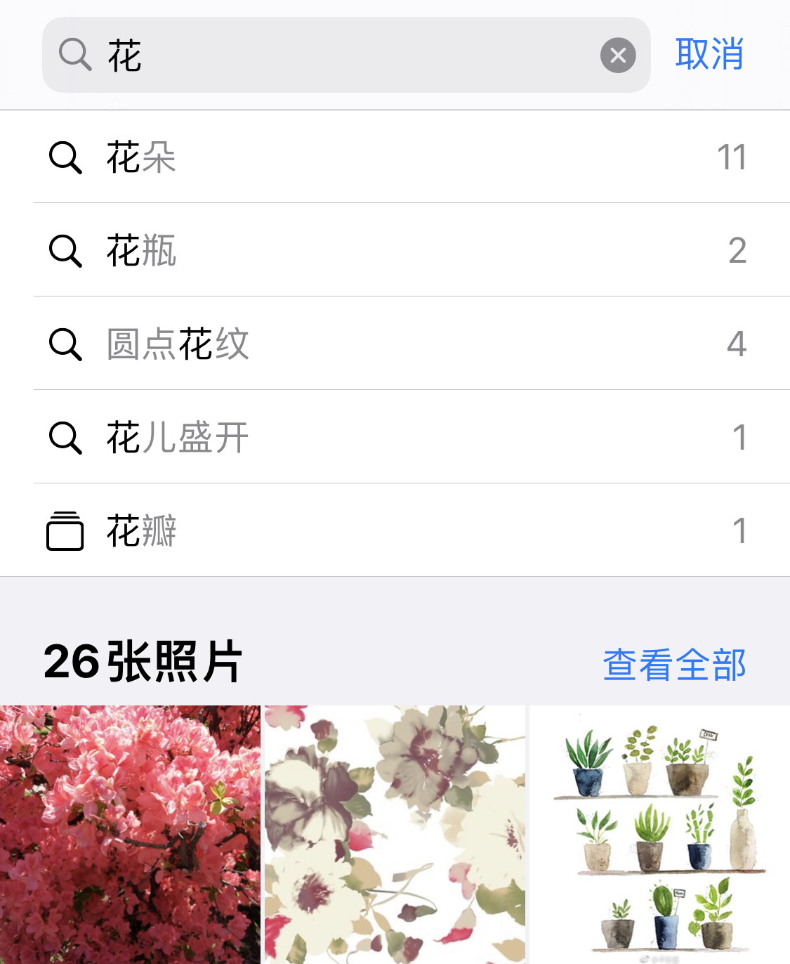 椰林镇苹果手机维修分享iPhone 小技巧 
