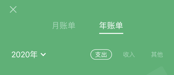 椰林镇苹果手机维修分享如何在 iPhone 上查看支付宝和微信年支出账单 